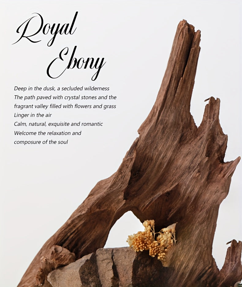 description9