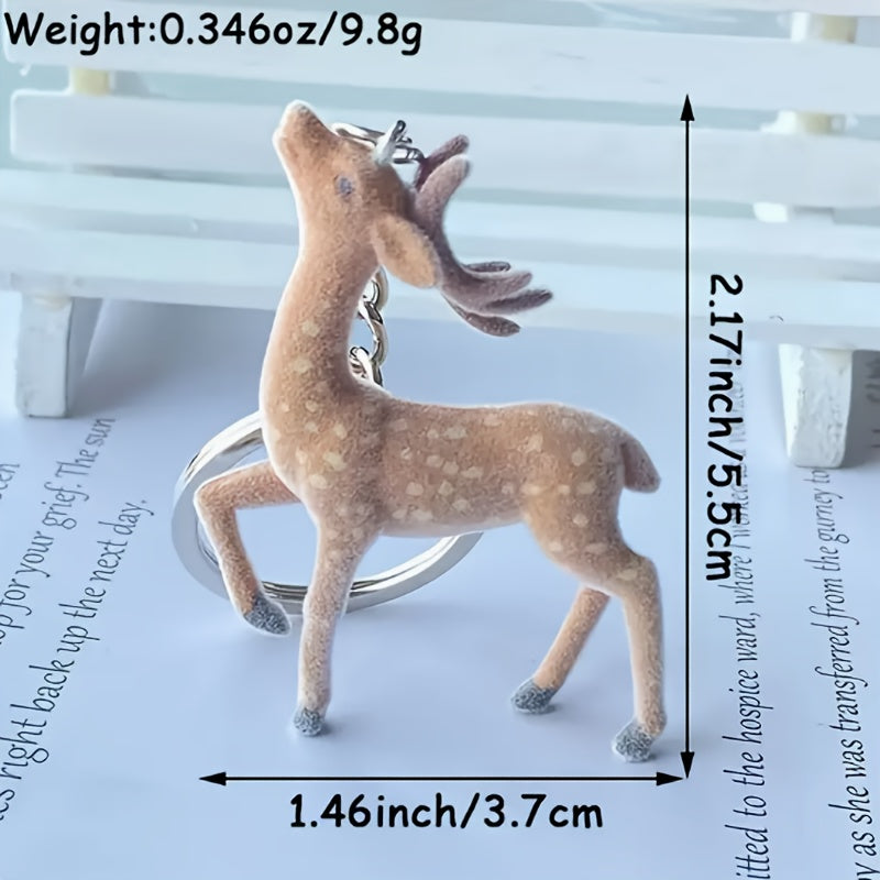 image5