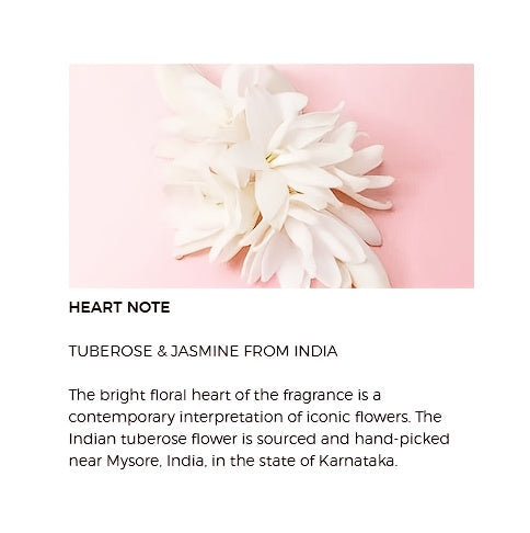 description8