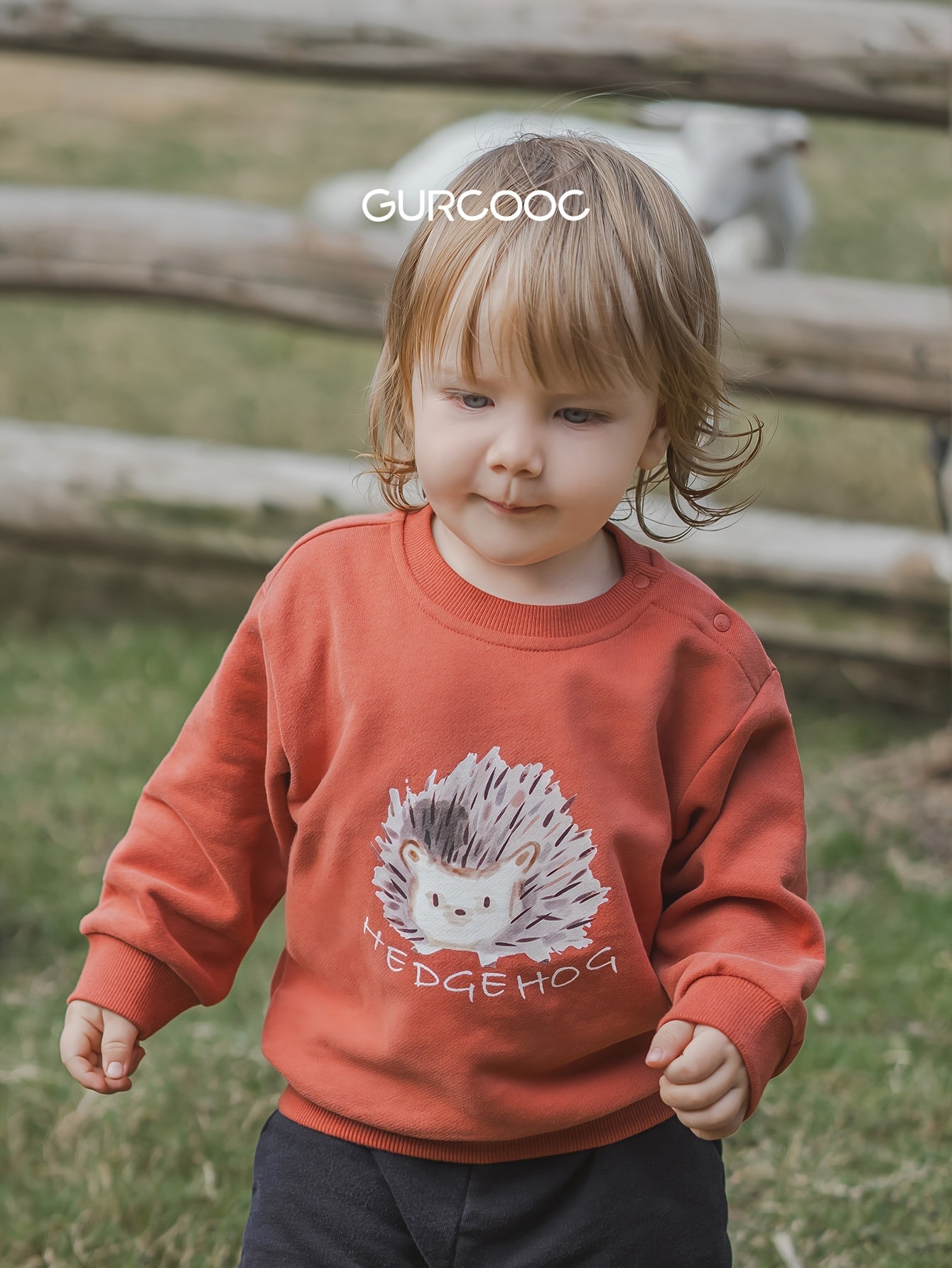 description_selected2