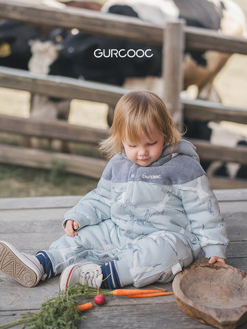 description_selected0