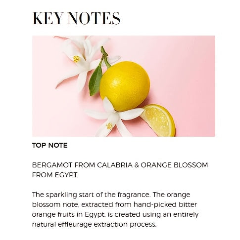description7