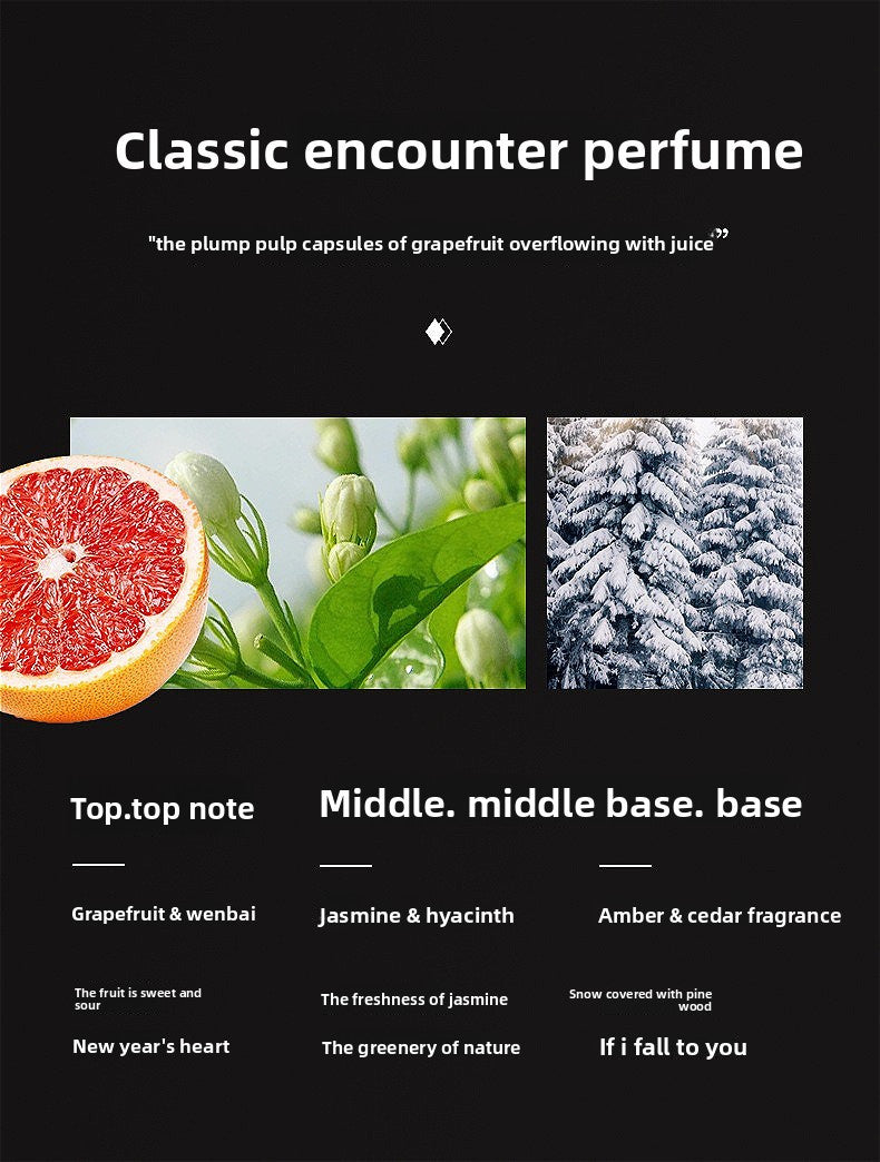 description8