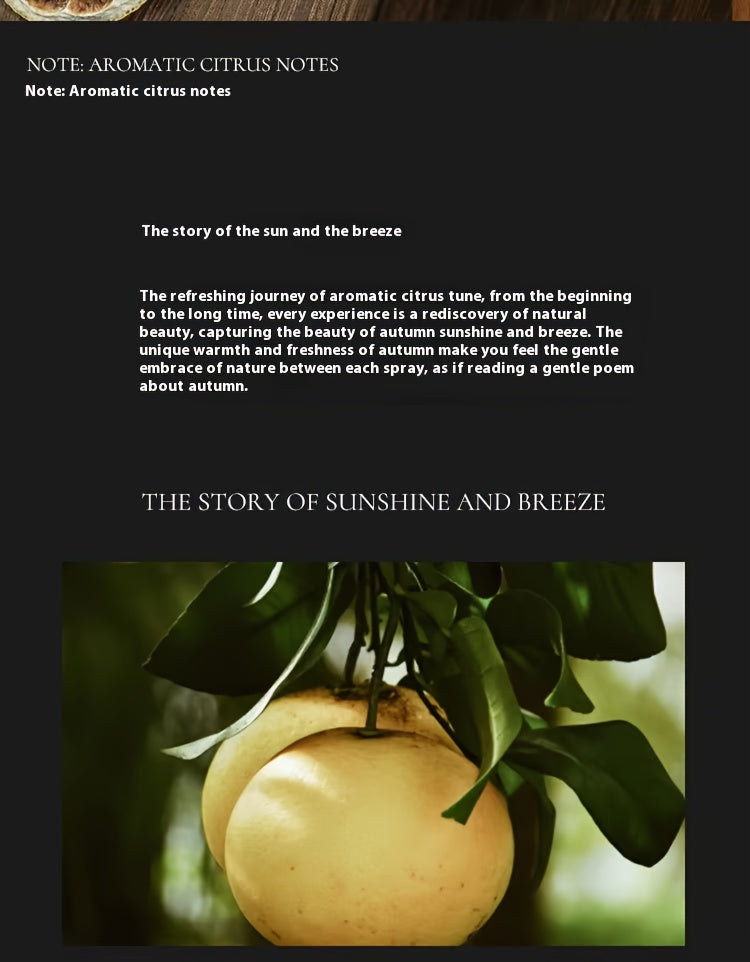 description10
